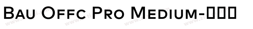 Bau Offc Pro Medium字体转换 Bau Offc Pro Medium字体转换